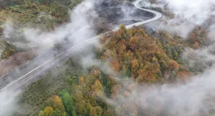 Ordu'da etkili olan sis sonbahar renkleriyle güzel görüntü oluşturdu