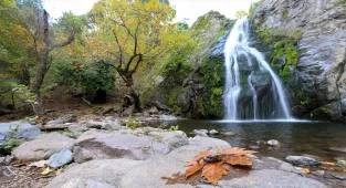 Yunt Dağları'ndaki ağaçlar hazan rengine büründü