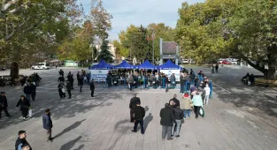 Çubuk'ta vatandaşlara ücretsiz fidan dağıtıldı