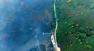 Efteni Kuş Cenneti'nde sonbahar renkleriyle sis ahenk oluşturdu