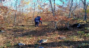 GÜNCELLEME 2 - Bursa'da mantar toplamak için gittiği ormanlık alanda kaybolan kişi bulundu