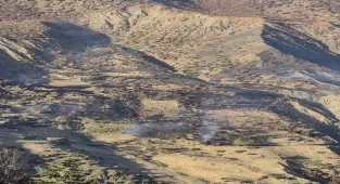 GÜNCELLEME - Kahramanmaraş'ta çıkan orman yangını kontrol altına alındı