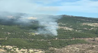 GÜNCELLEME - Muğla'da ormanlık alanda çıkan yangın kontrol altına alındı