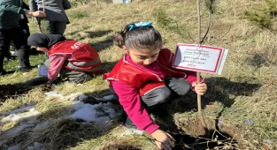 Hakkari'de Türkiye ve Gazze'deki şehitler anısına fidan dikildi