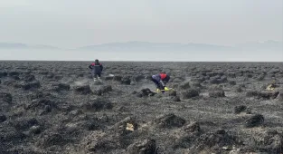 Hakkari'deki Nehil Sazlığı'nda 7 Kasım'da çıkan yangın söndürüldü