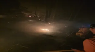 Hatay'da çıkan orman yangını kontrol altına alındı