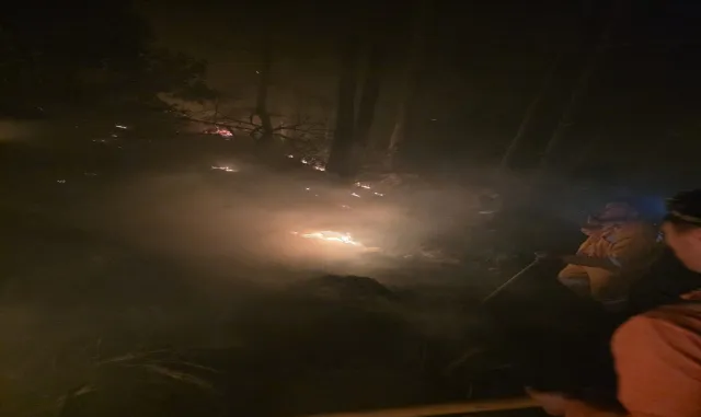 Hatay'da çıkan orman yangını kontrol altına alındı