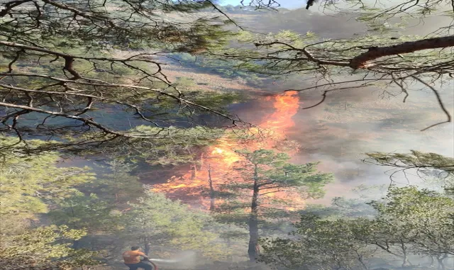 Hatay'da çıkan orman yangınına müdahale ediliyor