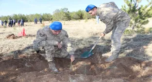 Kırşehir'de jandarma 700 fidanı toprakla buluşturdu