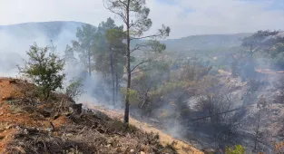 Mersin'de temizlik için ateş yakılan bahçede çıkan yangında 1 kişi yaşamını yitirdi