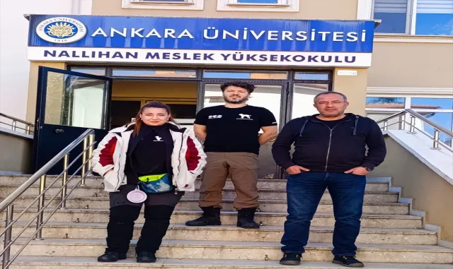 Nallıhan'daki mantar çeşitliliği kayıt altına alınıyor