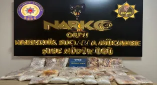 Ordu'da otomobilin kapılarına gizlenmiş 25 kilo 200 gram sentetik uyuşturucu ele geçirildi