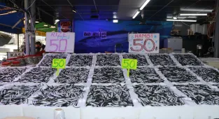 Rize'de hamsinin kilogramı 50 liradan satılıyor