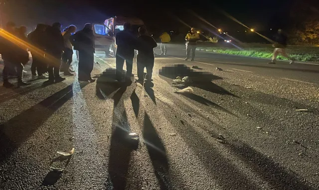 Samsun'da 2 yayanın ölümüne neden olan kamyonet sürücüsü tutuklandı