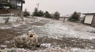 Beypazarı ilçesinin yüksek kesimleri beyaza büründü