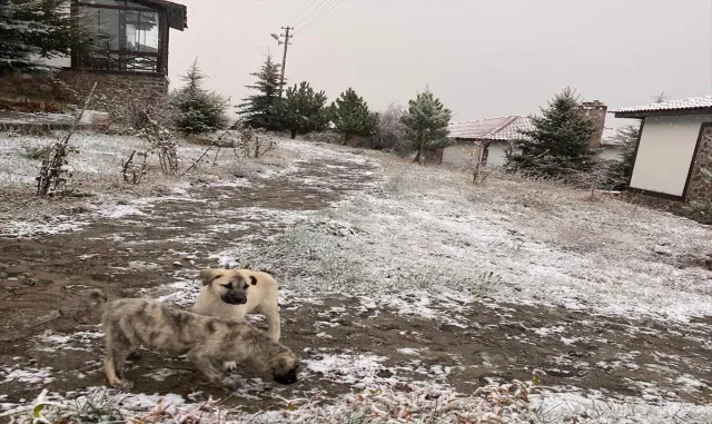 Beypazarı ilçesinin yüksek kesimleri beyaza büründü
