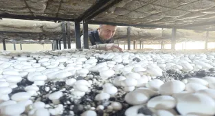 Beyşehir'den kısa kısa