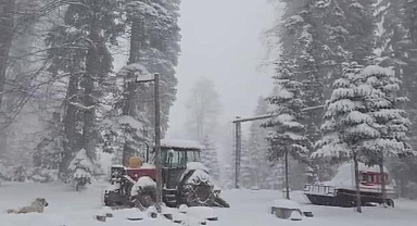 Karabük, Düzce, Bolu ve Zonguldak'ta karla mücadele çalışmaları sürüyor