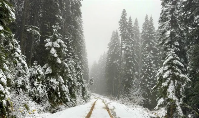 Karabük'ün yüksek kesimleri beyaza büründü
