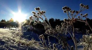 Kars ve Ardahan'da soğuk hava etkisini sürdürüyor