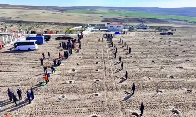 Kırşehir'de cezaevi yerleşkelerinde 5 bin 500 fidan toprakla buluşturuldu