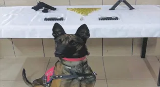 Kırşehir'de uyuşturucu operasyonunda 1 zanlı yakalandı