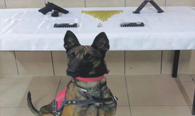 Kırşehir'de uyuşturucu operasyonunda 1 zanlı yakalandı