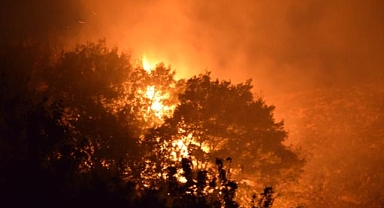 Mersin'deki orman yangınında 3 dekar alan zarar gördü