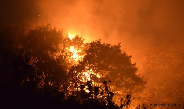 Mersin'deki orman yangınında 3 dekar alan zarar gördü