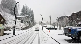 Rize ve Artvin'de kar etkili oldu