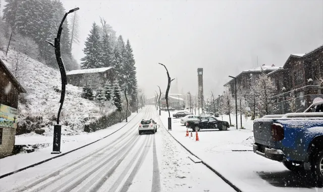 Rize ve Artvin'de kar etkili oldu