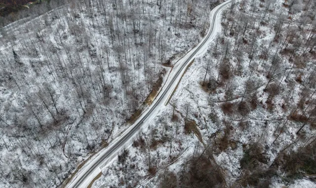 Sinop'ta kar yağışı sonrası ormanlık alanlar dronla görüntülendi