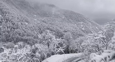 Sinop ve Tokat'ta kar yağışı 59 köy yolunu kapattı