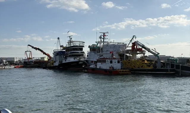 Tekirdağlı balıkçılar yeni yılda sardalya ve istavrit umuduyla ağ atacak