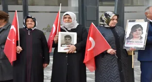 Vanlı aileler, DEM Parti İl Başkanlığı önündeki eylemlerini sürdürdü