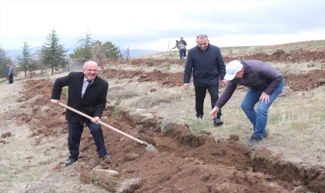 Yozgat'ta 1500 çam fidanı toprakla buluşturuldu