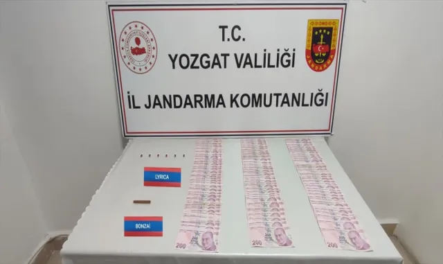 Yozgat'ta uyuşturucu operasyonunda 1 zanlı yakalandı