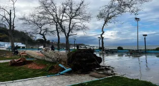 Zonguldak ve Düzce'de kuvvetli rüzgar hayatı olumsuz etkiledi