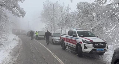 Zonguldak ve Sakarya'da karılı yolda kaza yapan otomobillerdeki 5 kişi yaralandı
