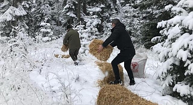 Adıyaman'da yaban hayvanları için doğaya yem bırakıldı