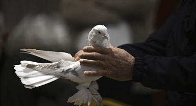 Ankara'da 24. Uluslararası Şebap Güvercin Festivali düzenlendi