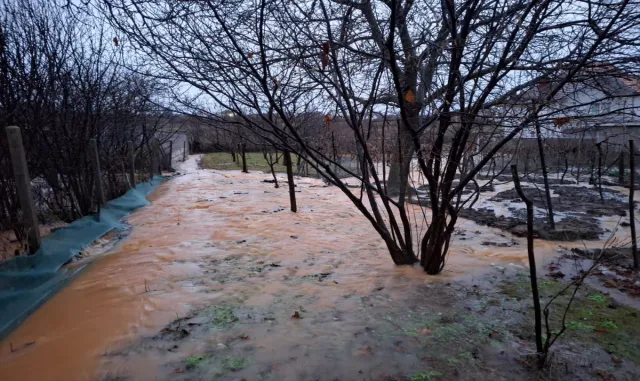 Balkanlar'da şiddetli yağışlar sellere neden oldu