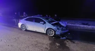 Domuz sürüsüne çarptılar! Otomobildeki 3 kişi yaralandı!