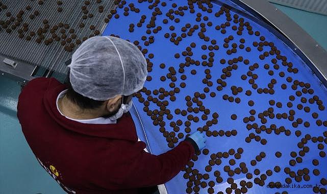 Devlet desteğiyle kurduğu fabrikada günde 100 bin paket glütensiz gıda üretiyor