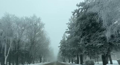 Doğu Anadolu'da 5 ilde soğuk hava ve sis etkili oluyor