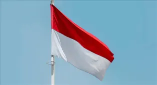 Endonezya'da bulunan 67 bin yıllık el izinin dünyanın en eski kaya sanatı örneği olabileceği belirtildi