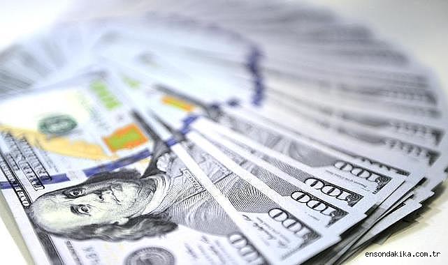 Finansal kesim dışındaki firmaların net döviz açığı kasımda arttı