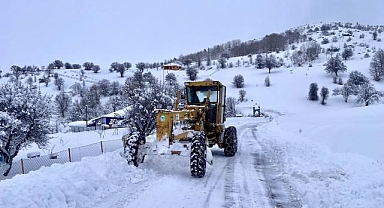 Giresun ve Gümüşhane'de 84 köy yolunda karla mücadele sürüyor