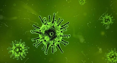 Hindistan, Nipah virüsüne karşı kapsamlı halk sağlığı önlemleri alıyor