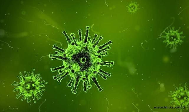 Hindistan, Nipah virüsüne karşı kapsamlı halk sağlığı önlemleri alıyor